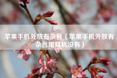 苹果手机外放有杂音(苹果手机外放有杂音带耳机没有)